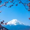 Mt. Fuji, Japan framed by cherry blossoms